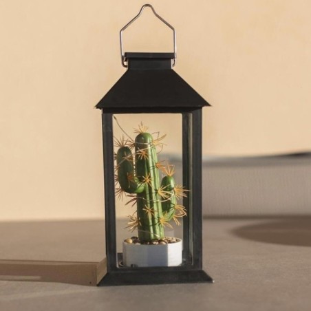 Lanterne végétale solaire photophore cactus PABLO H35cm